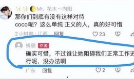 明星爆料蓝台视频播放,揭秘蓝台视频播放背后的明星爆料真相