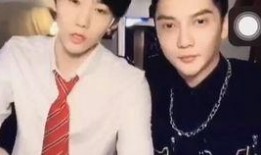 陈末爆料赵大妈视频在线观看,在线观看背后的真相揭晓