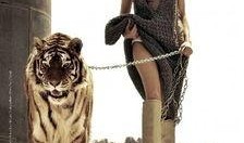 原始兽性在线观看