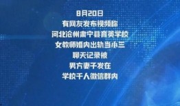 教师爆料真相案例视频大全,视频案例大盘点