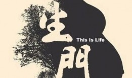 纪录片生门在线观看,揭秘生命诞生的奇迹瞬间