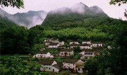 独家爆料平乐村大新闻,独家揭秘惊人内幕