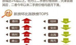 惠州房价最新爆料,涨跌动态揭秘，投资风向标揭晓！