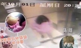 陈翔助理爆料事件视频,揭秘幕后的惊人真相