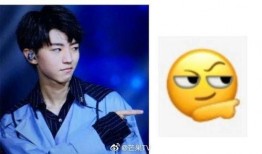 王俊凯知乎爆料视频大全,揭秘偶像背后的真实故事