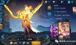 凤凰于飞爆料视频,揭秘视频背后的精彩故事