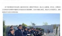 共青城爆料新闻最新消息,揭秘背后惊人真相