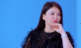 汪小菲王岳伦最新爆料,娱乐圈风云再起，真相揭秘！