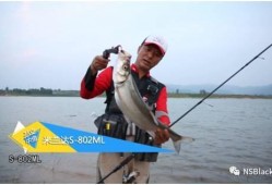 四海钓鱼频道在线观看,畅游钓鱼世界，尽享在线观钓盛宴