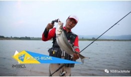 四海钓鱼频道在线观看,畅游钓鱼世界，尽享在线观钓盛宴