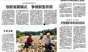 崇阳最新爆料新闻报道网,揭秘事件背后惊人真相