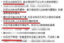第一狗仔最新爆料小说,小说背后的惊人真相