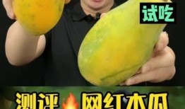 网红评论吃瓜,揭秘吃瓜背后的娱乐真相